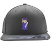 Flexfit 110F Structured Flat Bill Snapback Hat Thumbnail