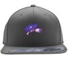 Flexfit 110F Structured Flat Bill Snapback Hat Thumbnail