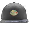 Flexfit 110F Structured Flat Bill Snapback Hat Thumbnail