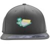 Flexfit 110F Structured Flat Bill Snapback Hat Thumbnail
