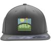 Flexfit 110F Structured Flat Bill Snapback Hat Thumbnail