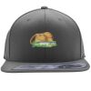 Flexfit 110F Structured Flat Bill Snapback Hat Thumbnail