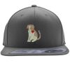 Flexfit 110F Structured Flat Bill Snapback Hat Thumbnail