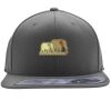 Flexfit 110F Structured Flat Bill Snapback Hat Thumbnail