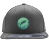Flexfit 110F Structured Flat Bill Snapback Hat Thumbnail