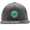 Flexfit 110F Structured Flat Bill Snapback Hat Thumbnail