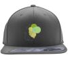 Flexfit 110F Structured Flat Bill Snapback Hat Thumbnail