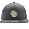 Flexfit 110F Structured Flat Bill Snapback Hat Thumbnail