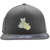 Flexfit 110F Structured Flat Bill Snapback Hat Thumbnail