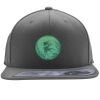 Flexfit 110F Structured Flat Bill Snapback Hat Thumbnail