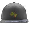 Flexfit 110F Structured Flat Bill Snapback Hat Thumbnail