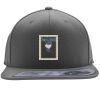 Flexfit 110F Structured Flat Bill Snapback Hat Thumbnail