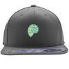 Flexfit 110F Structured Flat Bill Snapback Hat Thumbnail