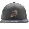 Flexfit 110F Structured Flat Bill Snapback Hat Thumbnail