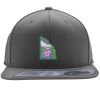 Flexfit 110F Structured Flat Bill Snapback Hat Thumbnail