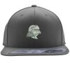 Flexfit 110F Structured Flat Bill Snapback Hat Thumbnail