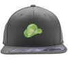 Flexfit 110F Structured Flat Bill Snapback Hat Thumbnail