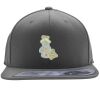 Flexfit 110F Structured Flat Bill Snapback Hat Thumbnail