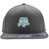 Flexfit 110F Structured Flat Bill Snapback Hat Thumbnail