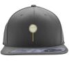 Flexfit 110F Structured Flat Bill Snapback Hat Thumbnail
