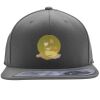 Flexfit 110F Structured Flat Bill Snapback Hat Thumbnail