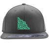 Flexfit 110F Structured Flat Bill Snapback Hat Thumbnail