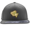 Flexfit 110F Structured Flat Bill Snapback Hat Thumbnail