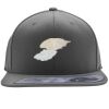 Flexfit 110F Structured Flat Bill Snapback Hat Thumbnail