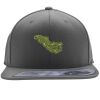 Flexfit 110F Structured Flat Bill Snapback Hat Thumbnail