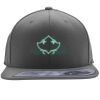 Flexfit 110F Structured Flat Bill Snapback Hat Thumbnail