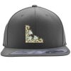 Flexfit 110F Structured Flat Bill Snapback Hat Thumbnail