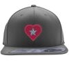 Flexfit 110F Structured Flat Bill Snapback Hat Thumbnail