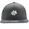 Flexfit 110F Structured Flat Bill Snapback Hat Thumbnail