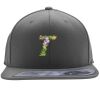 Flexfit 110F Structured Flat Bill Snapback Hat Thumbnail