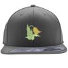 Flexfit 110F Structured Flat Bill Snapback Hat Thumbnail