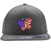Flexfit 110F Structured Flat Bill Snapback Hat Thumbnail