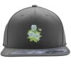 Flexfit 110F Structured Flat Bill Snapback Hat Thumbnail