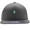 Flexfit 110F Structured Flat Bill Snapback Hat Thumbnail