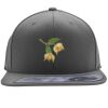 Flexfit 110F Structured Flat Bill Snapback Hat Thumbnail