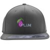 Flexfit 110F Structured Flat Bill Snapback Hat Thumbnail