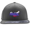 Flexfit 110F Structured Flat Bill Snapback Hat Thumbnail