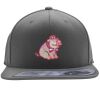Flexfit 110F Structured Flat Bill Snapback Hat Thumbnail