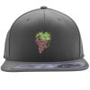 Flexfit 110F Structured Flat Bill Snapback Hat Thumbnail