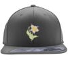 Flexfit 110F Structured Flat Bill Snapback Hat Thumbnail